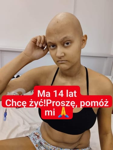 Zdjęcie główne wgrane przez użytkownika