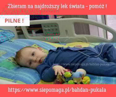 Zdjęcie główne wgrane przez użytkownika