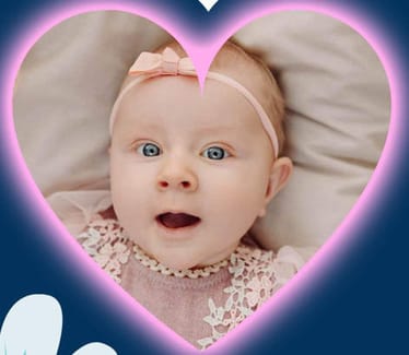 Zdjęcie główne wgrane przez użytkownika