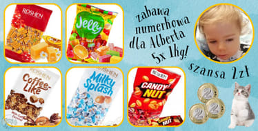 Zdjęcie główne wgrane przez użytkownika