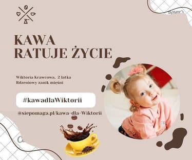 Zdjęcie główne wgrane przez użytkownika
