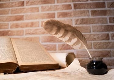 Main photo uploaded by the user