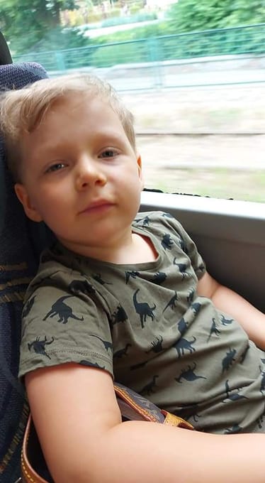 Zdjęcie główne wgrane przez użytkownika