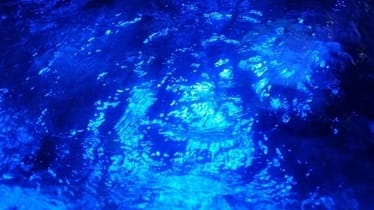 Zdjęcie główne wgrane przez użytkownika