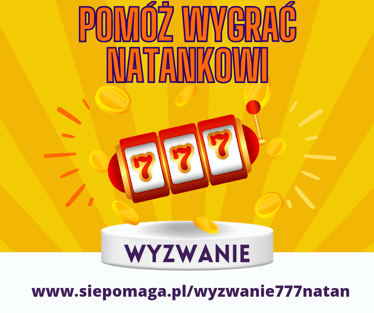 Main photo uploaded by the user