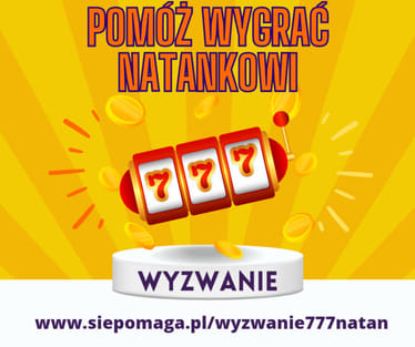 Zdjęcie główne wgrane przez użytkownika