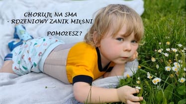 Zdjęcie główne wgrane przez użytkownika