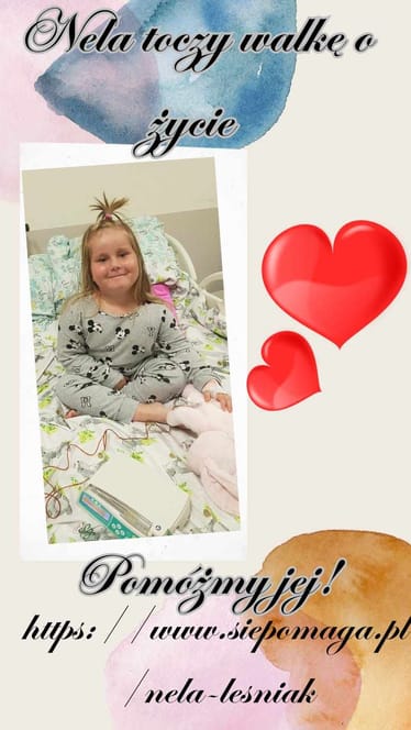 Main photo uploaded by the user