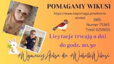 Main photo uploaded by the user