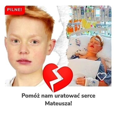 Zdjęcie główne wgrane przez użytkownika