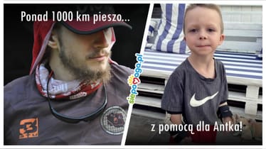 Zdjęcie główne wgrane przez użytkownika