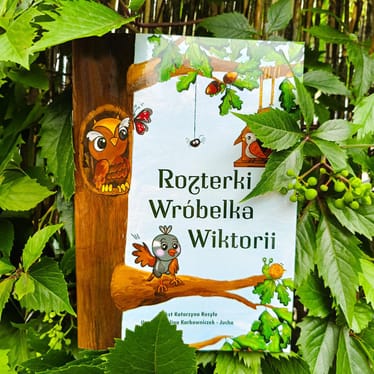 Zdjęcie główne wgrane przez użytkownika