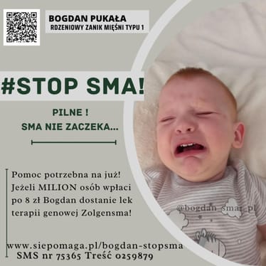 Zdjęcie główne wgrane przez użytkownika