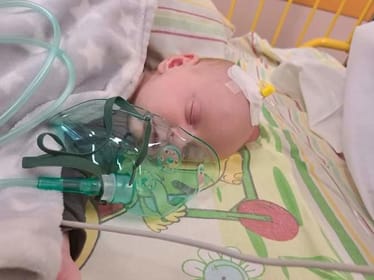 Main photo uploaded by the user