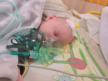 Zdjęcie główne wgrane przez użytkownika