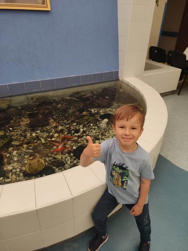 Main photo uploaded by the user