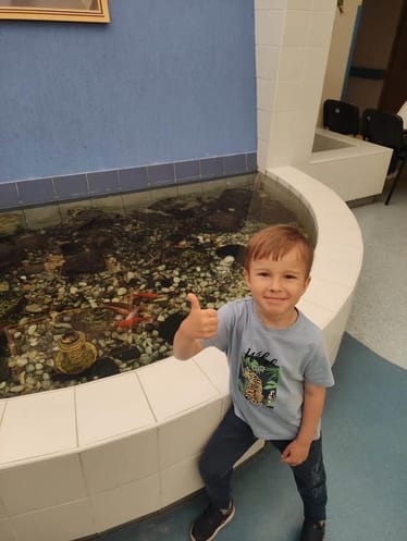 Main photo uploaded by the user