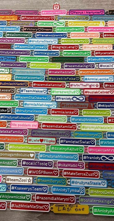 Zdjęcie główne wgrane przez użytkownika