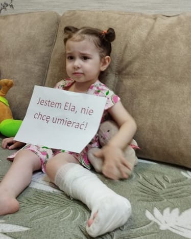 Zdjęcie główne wgrane przez użytkownika