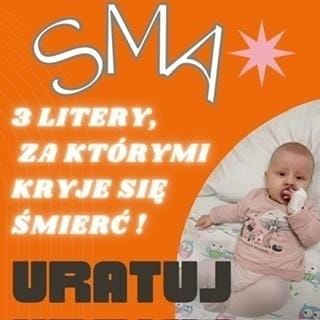 Zdjęcie główne wgrane przez użytkownika