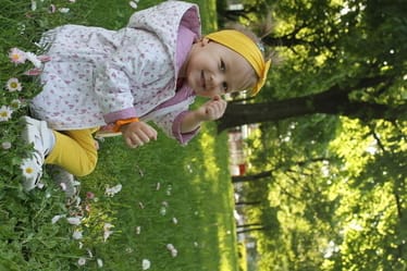 Main photo uploaded by the user