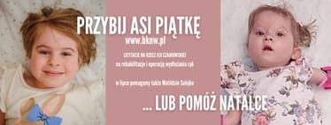 Zdjęcie główne wgrane przez użytkownika