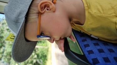 Main photo uploaded by the user