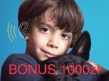 Main photo uploaded by the user