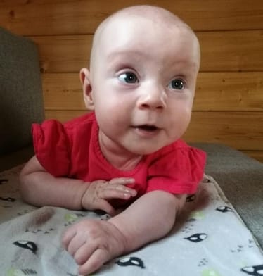 Zdjęcie główne wgrane przez użytkownika