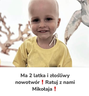 Zdjęcie główne wgrane przez użytkownika