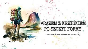 Zdjęcie główne wgrane przez użytkownika
