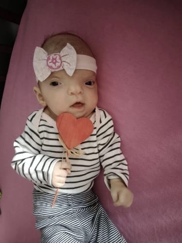 Zdjęcie główne wgrane przez użytkownika