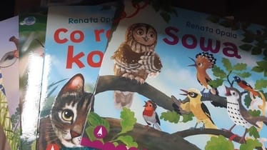 Zdjęcie główne wgrane przez użytkownika