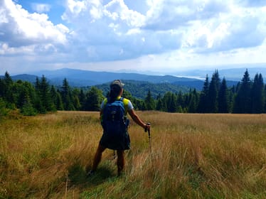 Zdjęcie główne wgrane przez użytkownika