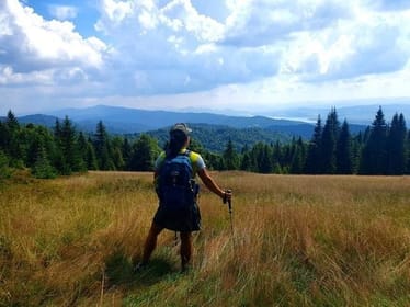 Zdjęcie główne wgrane przez użytkownika
