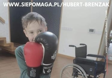 Zdjęcie główne wgrane przez użytkownika