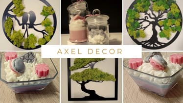 Zdjęcie główne wgrane przez użytkownika