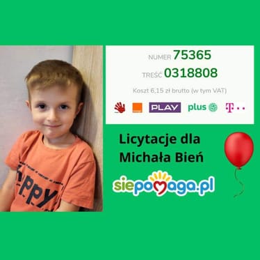 Zdjęcie główne wgrane przez użytkownika