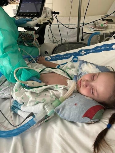 Zdjęcie główne wgrane przez użytkownika