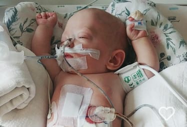 Zdjęcie główne wgrane przez użytkownika
