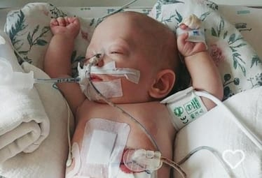 Main photo uploaded by the user