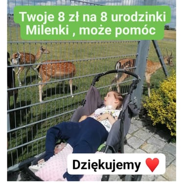 Zdjęcie główne wgrane przez użytkownika
