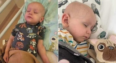 Zdjęcie główne wgrane przez użytkownika