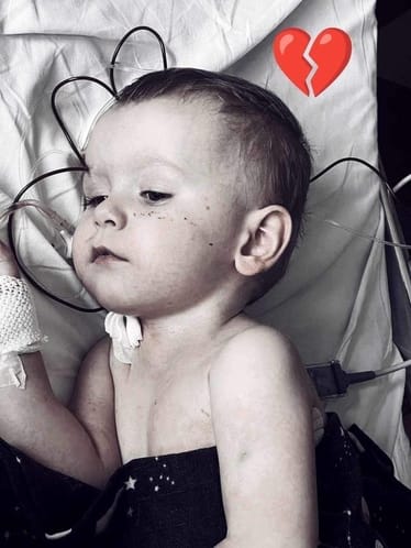 Zdjęcie główne wgrane przez użytkownika