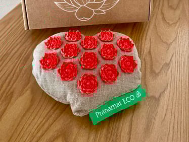 Main photo uploaded by the user