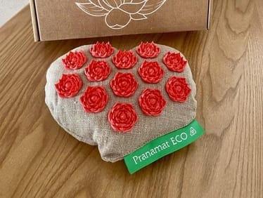 Zdjęcie główne wgrane przez użytkownika