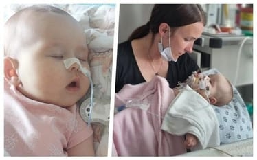 Zdjęcie główne wgrane przez użytkownika