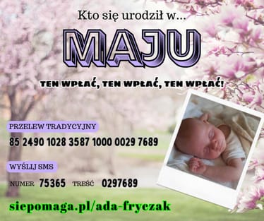 Main photo uploaded by the user