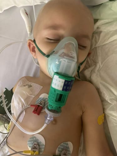 Main photo uploaded by the user