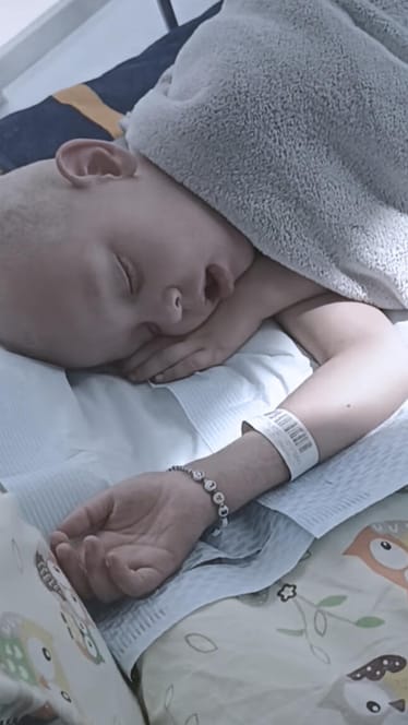 Main photo uploaded by the user